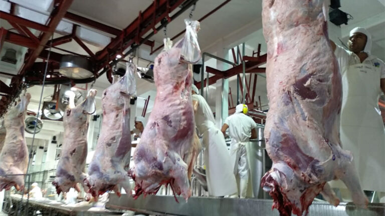 Uruguay: Sindicato de la Industria de la Carne exigió condiciones de trabajo decente para los trabajadores de los frigoríficos