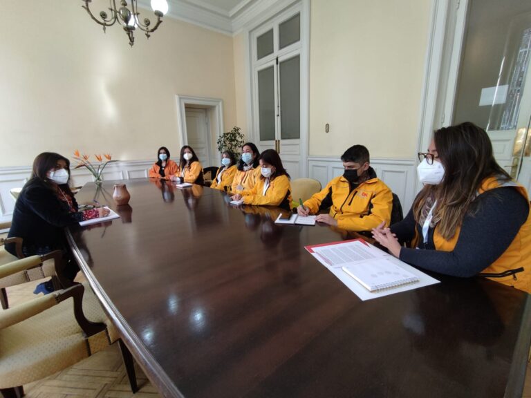 Chile: sindicato del Instituto Nacional de Derechos Humanos se reunió con Elisa Loncon