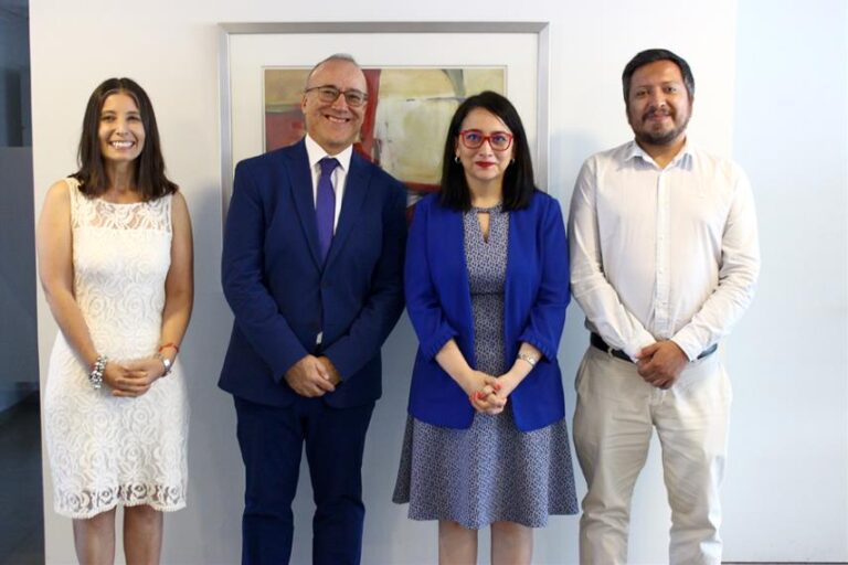 La OIT junto al INE de Chile evaluaron estadísticas de relaciones de trabajo
