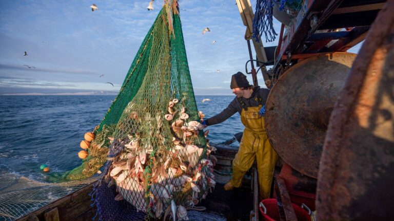 ITF alertó sobre los riesgos de la sobrepesca en el Atlántico Sudoccidental