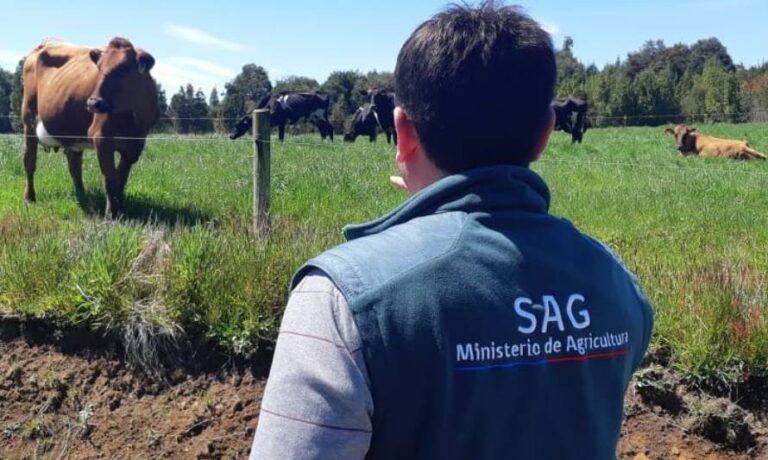 Chile: sindicato del Servicio Agrícola de Aysén exige que se detenga el “amedrentamiento” judicial contra trabajadores