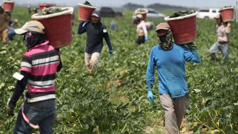 La CSI publicó informe «Sindicatos en acción por los derechos de los trabajadores/as migrantes»