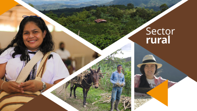 La OIT y el Ministerio de Trabajo de Colombia construyen estrategia para incentivar la seguridad y salud en el sector rural