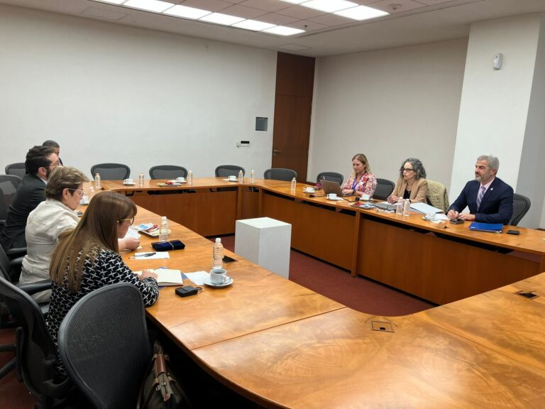 Durante su visita a México, la directora Regional de OIT Américas se reunió con representantes de Brasil, Colombia y Guatemala