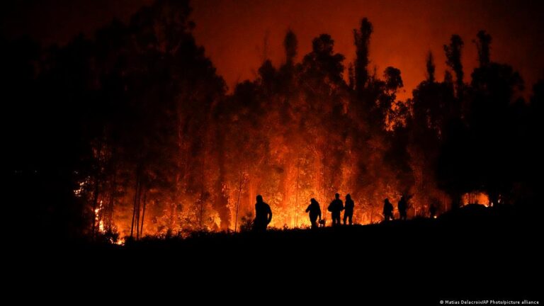 Clate manifestó su solidaridad a la población chilena afectada por los incendios y a trabajadores del sector público