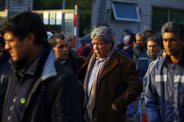 Recolectores de Chile logran histórica demanda condenatoria por accidente laboral