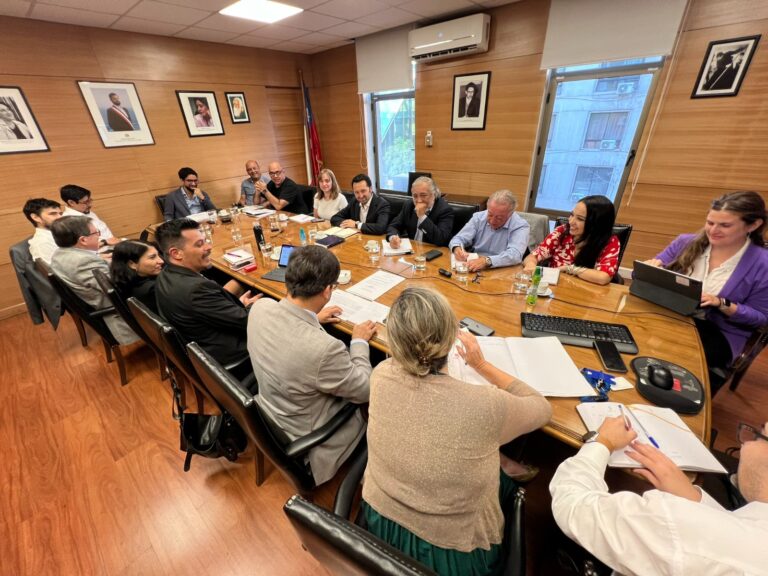 La CUT Chile participó de la 12ª sesión de la Comisión Sectorial Minera y abogó por condiciones de trabajo seguras