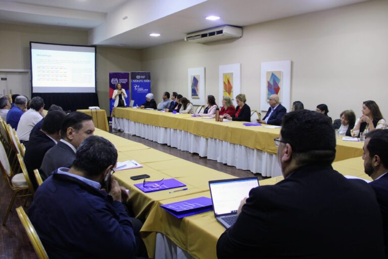 La OIT presentó informe sobre derechos fundamentales en el sector ganadero de Paraguay