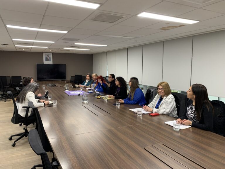 Comité Nacional de Mujeres de Chile de la Internacional de Servicios Públicos se reunió con la Ministra de Desarrollo
