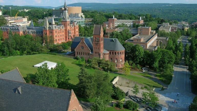 Estados Unidos: United Auto Workers presentó cargos por «prácticas laborales injustas» contra la Universidad de Cornell