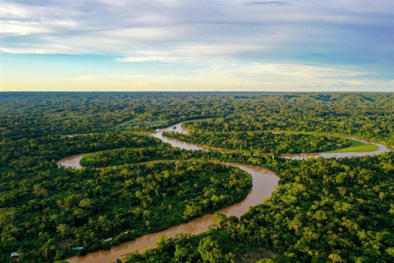 Brasil: se lanza Foro Sindical Panamazónico en Manaos para abordar derechos laborales en la Amazonía