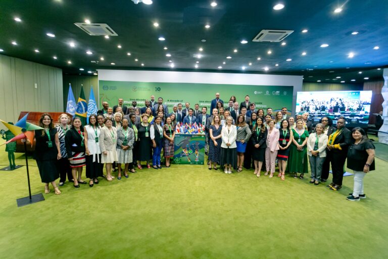 Diez años de lucha contra el trabajo infantil: La Iniciativa Regional América Latina y el Caribe celebra su aniversario en Brasil