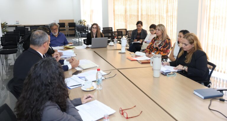 El Ministerio de Trabajo de Paraguay busca mecanismos para garantizar las licencias por controles prenatales