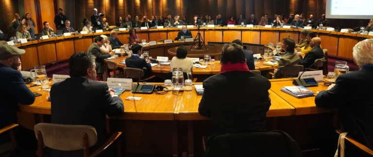 Cooperativas y trabajo de cuidados: la OIT convocó a reforzar alianzas para impulsar empleos decentes y equidad de género