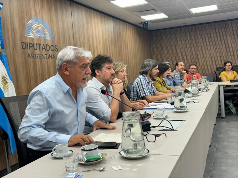 Reforma laboral en Argentina: se realizó una Audiencia Internacional en Diputados con participación sindical y jurídica